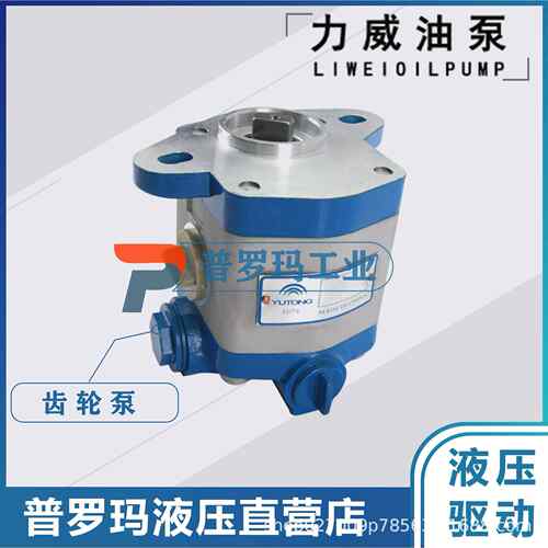 合肥力威液压泵浦沅吊车油泵潍柴 杭发WD615天力转向泵QC32/13-ST
