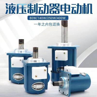 河南达圣B112Z/400W制动器微型三相异步电动机