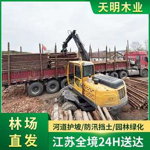 杉木桩原木 河道打桩木杉汛期防洪木桩 园林道路绿化杉木支撑杆