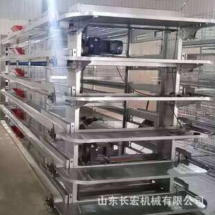 蛋鸡笼全立式鸽子笼OPS鹌鹑养殖育笼养殖场自动喂动料肉自鸡雏笼