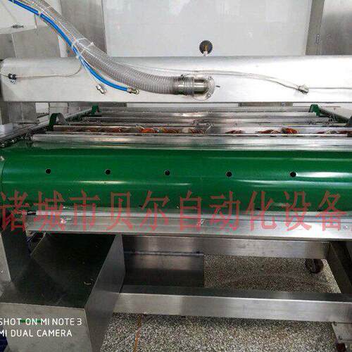 诸城贝尔BE-1000型滚动式真空包装机-休闲食品连续式真空包装机器