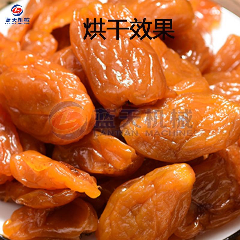 空气能枇杷烘干机 枇杷干热泵烘干箱 枇杷蜜饯芦枝水果干烘干设备