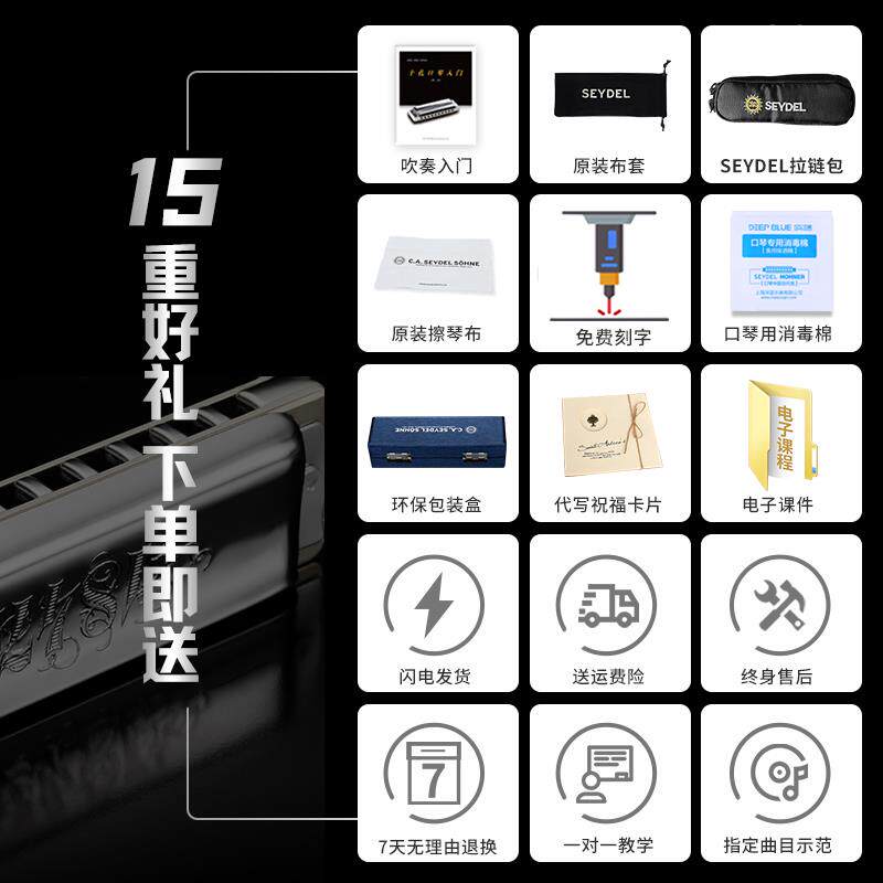 高档德国进口赛德SEYDEL十孔布鲁口琴184L闪7电初学高级专者斯业