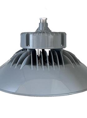 SZSW7460 LED免维护节能高顶灯防水防腐防眩光 FGV1225防爆顶棚灯