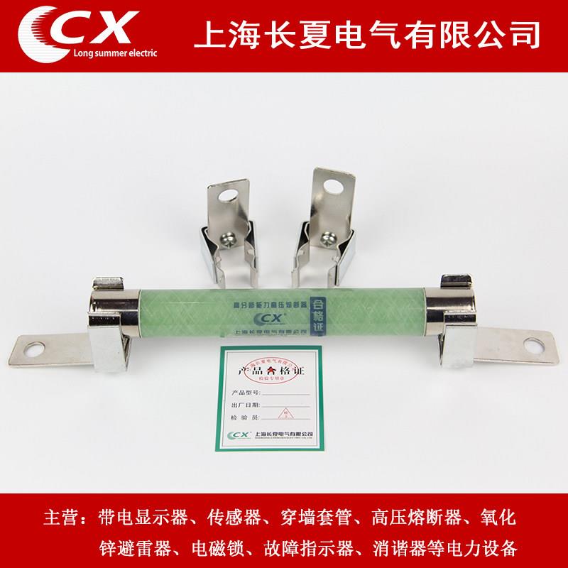 高压熔断器电压互感器XRNP1-10/12KV/0.5A 1A带夹子