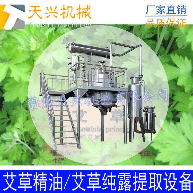 五月艾草精油篙提取 五月艾油提精油取 精提取纯TX-JY-20露提取