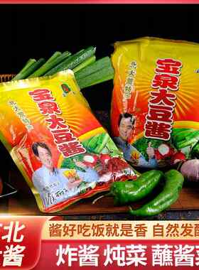 官方正品宝泉大豆酱500g宝泉岭大酱商用沾菜酱东北农家豆瓣酱黄豆