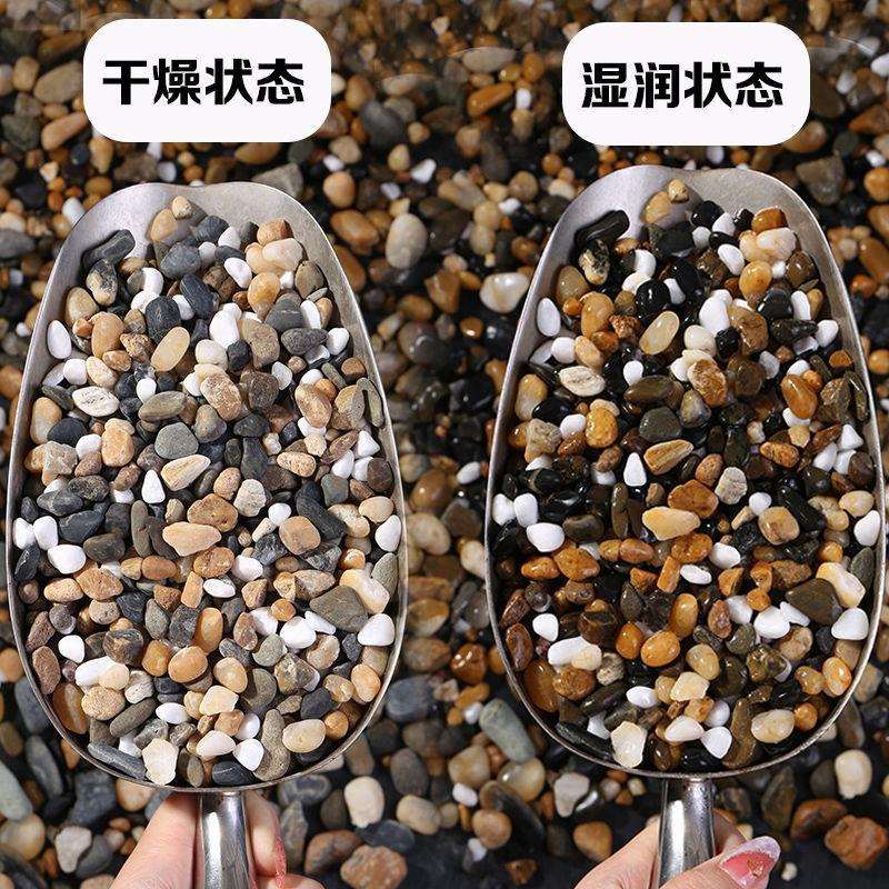 豆地暖石,石滤料石溪流石石底砂XEM鱼缸原生乌龟缸造景,鹅卵石