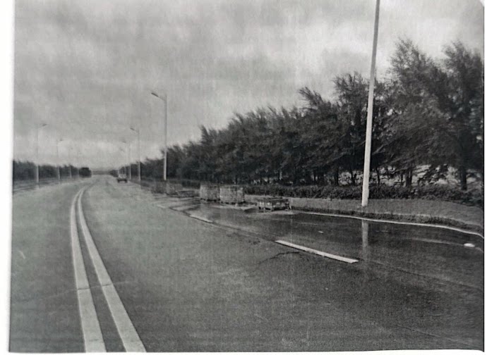 3月28日锡林郭勒盟道路、铺装、绿化和管网以及路灯工程网络拍卖公告