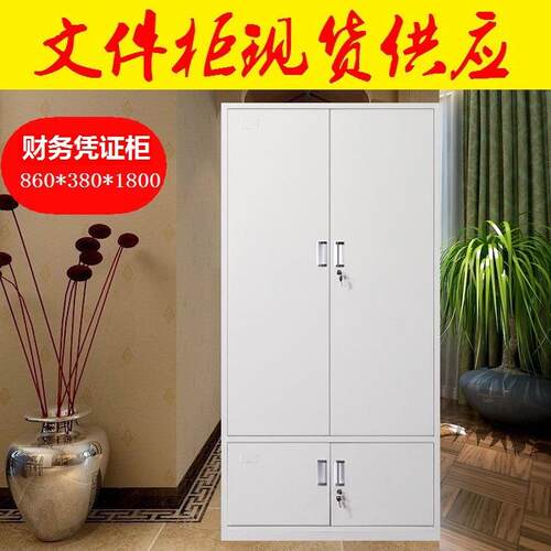 柜长期销售可定凭证柜做件柜铁皮柜  会计凭证档案文资料柜矮柜