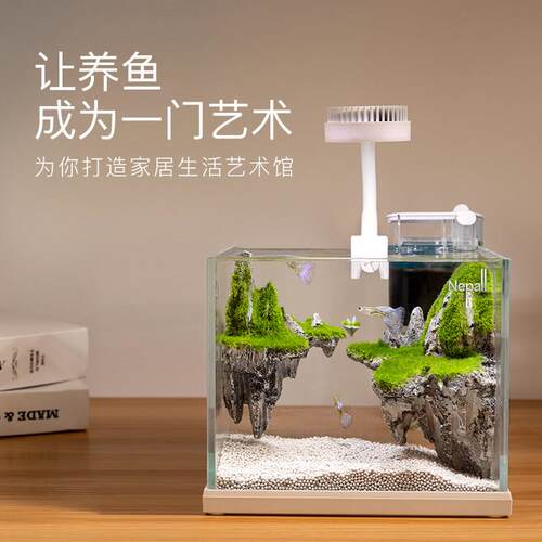 尼泊洱迷你玻璃鱼缸 22cm附造景金鱼斗鱼生态缸 小型桌面水族箱