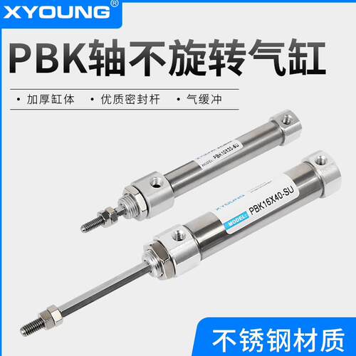 XYOUNG轴不回转不锈钢迷你气缸PBK10-20-SU六角活塞杆迷你气缸