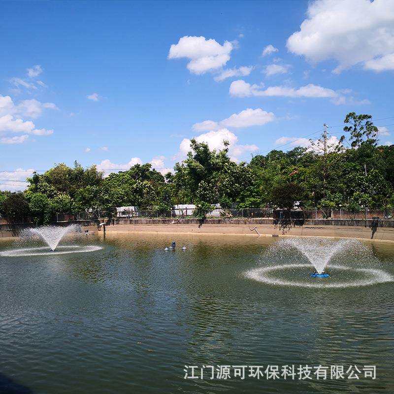 提水式喷泉曝气机-喇叭花造型 304/316不锈钢七彩灯光喷泉2.2kw