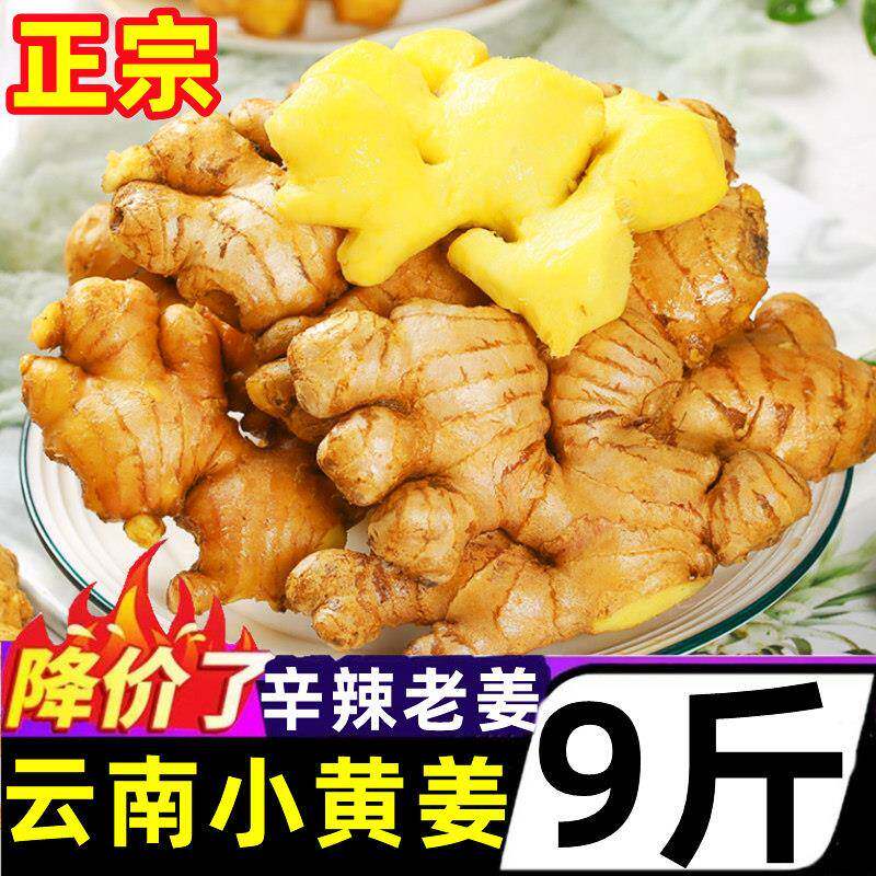小黄姜农家现挖完整带泥辛香浓郁日常烹饪泡姜煮姜茶鲜姜