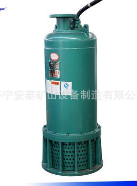 防爆等级EXDIIBT4防爆排污泵行情价格WQB100-40-22