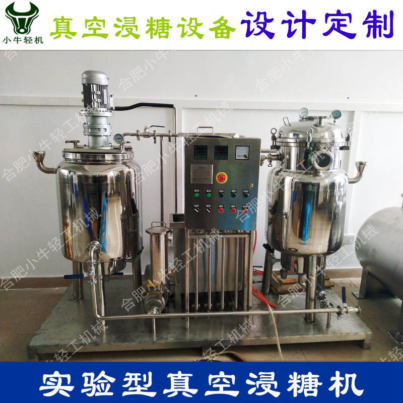食品工艺研发试验用小型真空浸糖设备50L电加热实验型真空浸糖机