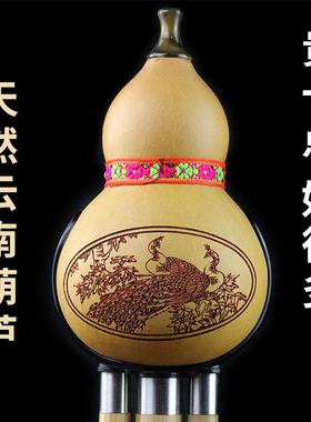 金丝楠葫芦EIF丝奏型三音丝葫芦初学者C演调降B调防竹摔儿童小孩