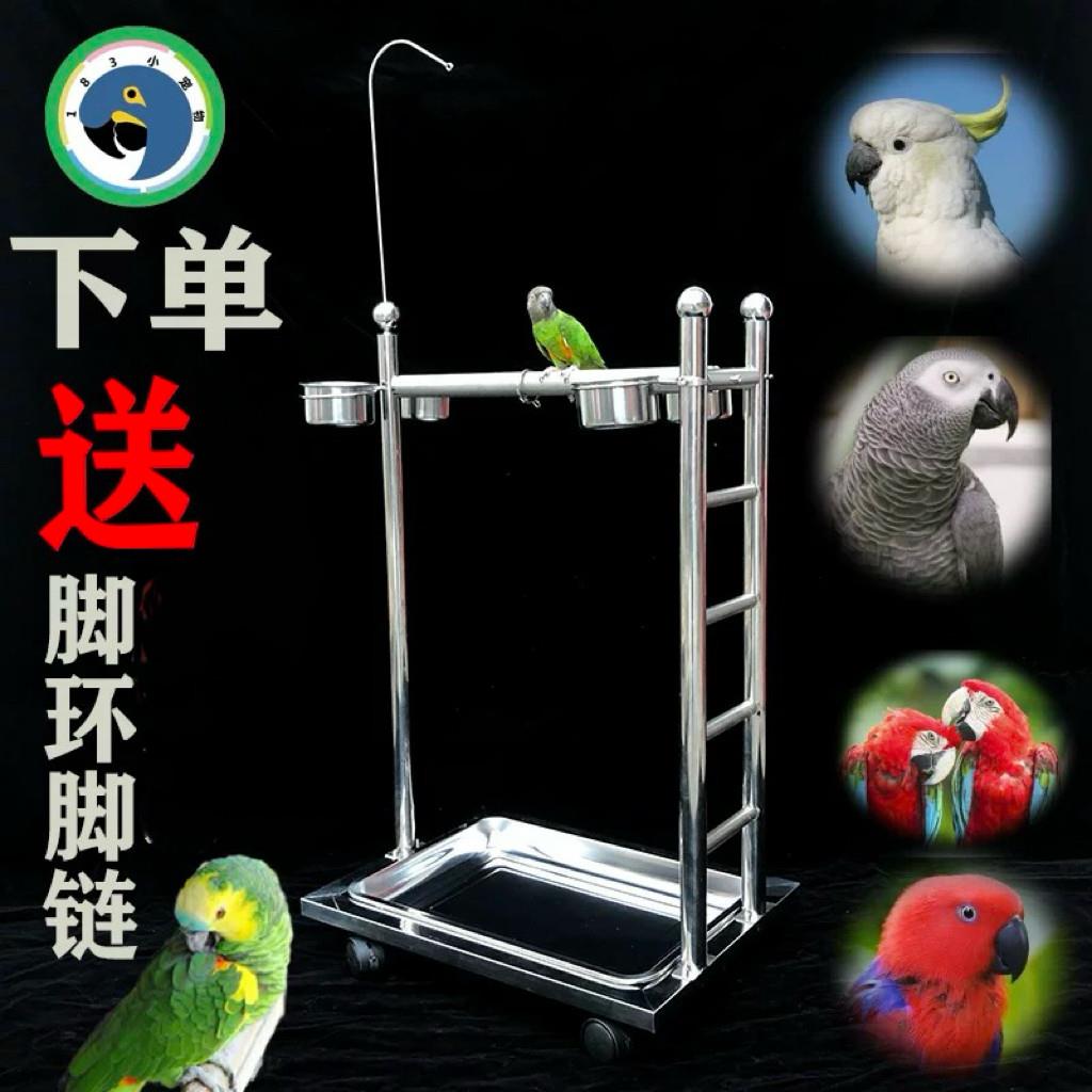 鹦鹉鸟架不锈钢站架鸟类架子宠物鸟栖息架观赏鸟架小鸟脚环脚链