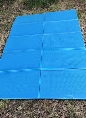 探途户外野餐垫200x150cm 露营防潮睡垫可折叠XPE防潮垫