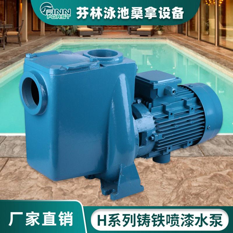 游泳池设备系统H系列铁泵大功率循环过滤带毛发收集器水泵大流量