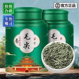 2024新茶上市毛尖茶叶，炒青绿茶信阳春茶嫩芽，浓香耐泡散装茶叶500g