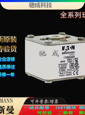 巴斯曼170M5408 170M5409 170M5410 厂家供货销售 快熔保险丝