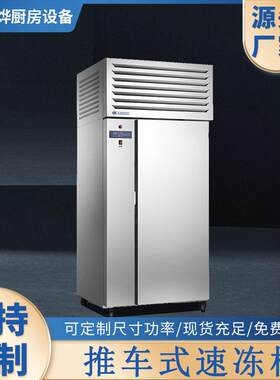 商用厨房设备不锈钢推车式速冻柜超低温无霜冰柜保鲜小型酒店饭堂