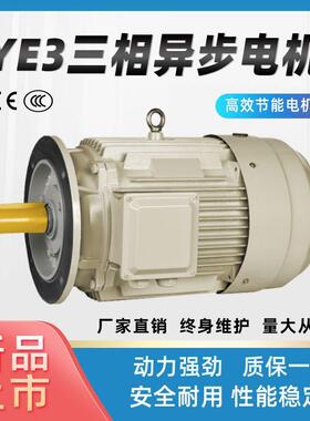 YE3-90L-2P8极三相异步交流电动机2.2W3W千瓦低噪音全铜380V