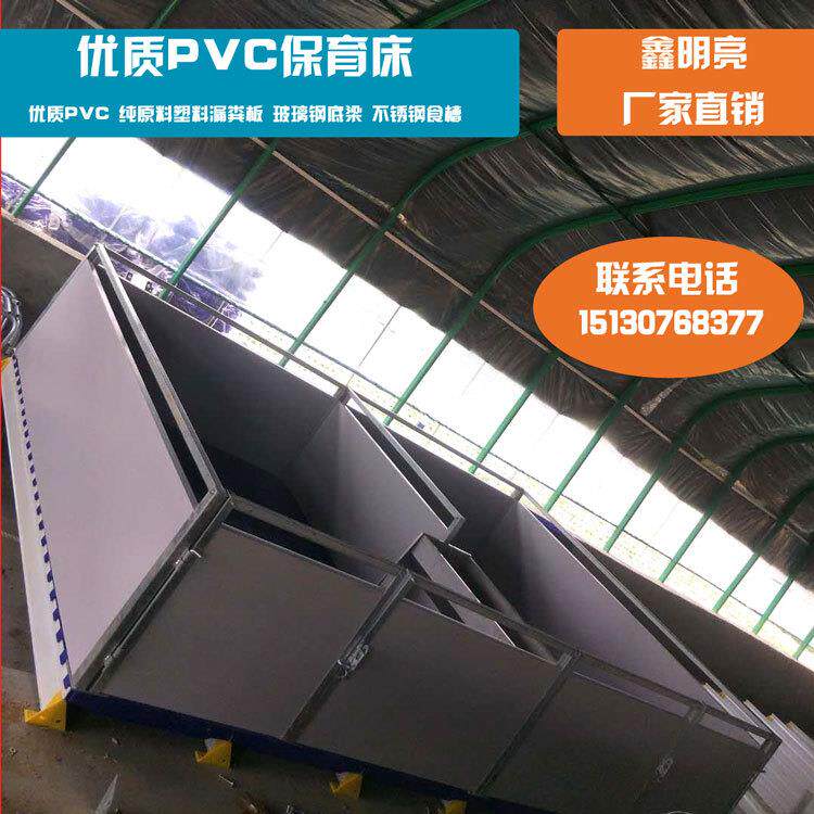 双体PVC仔猪保育床厂家直销接受塑料复合漏粪板