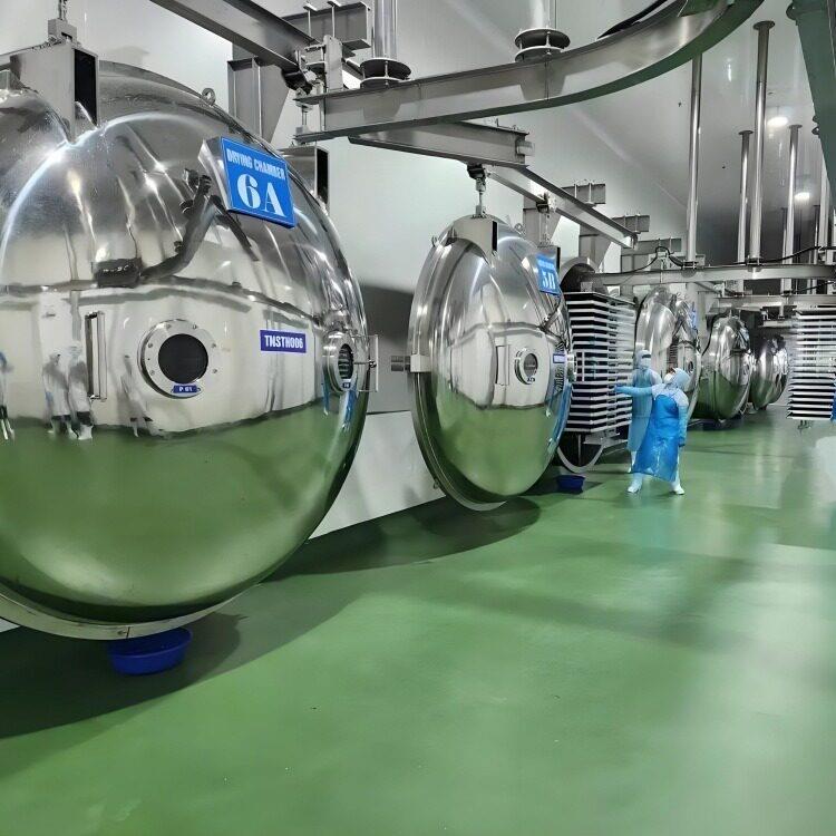 水果果蔬冻干机猕猴桃枸杞低温冷冻脱水真空冻干机果蔬脆冻干设备