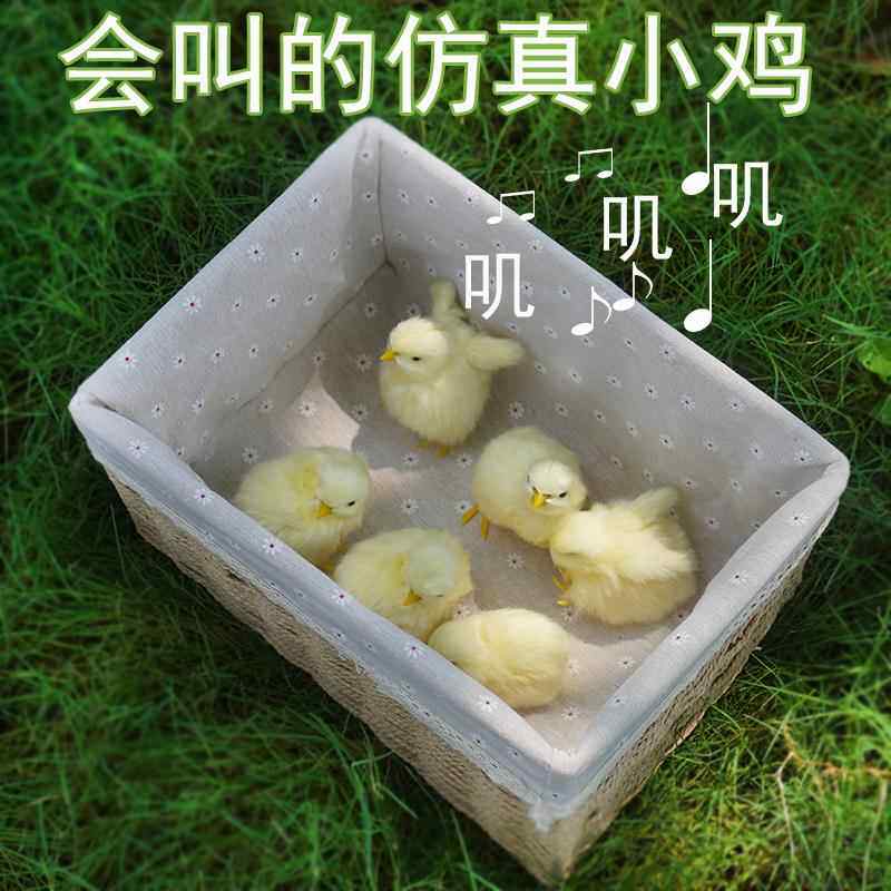 会叽叽叫的仿真小鸡仔小黄鸡假鸡萌萌哒可爱玩具儿童认知小礼物