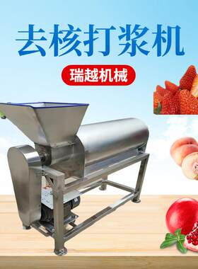 不锈钢蓝莓去核打浆机商用西红柿去籽打浆机工业石榴去皮打浆机
