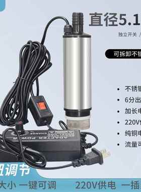 厂家8型泵17822V柴油泵油抽水泵潜水泵煤0油直流加油3泵抽酒泵