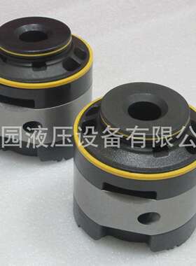 泵芯现货02-10255202-10256002-10250602-10255735V2535V30