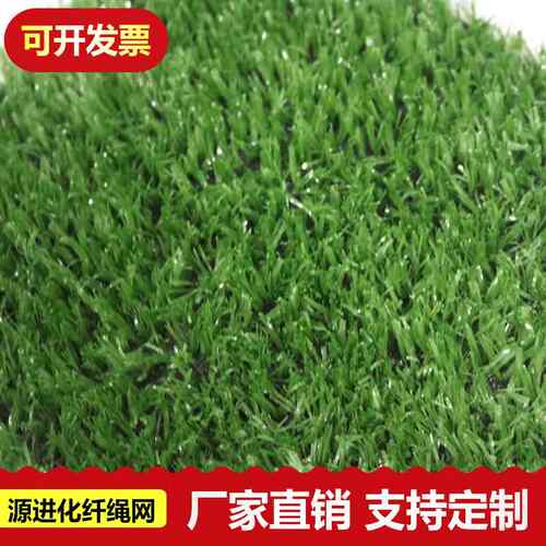 人造工程草坪毯现货直销草坪网乐游场篮球场假草皮户建外筑草坪围