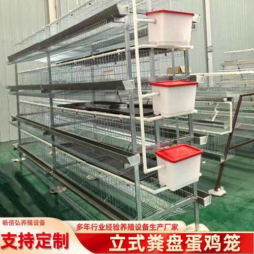 三层立式蛋鸡笼带粪盘热镀锌层叠式设计肉鸡笼养殖场用养殖设备