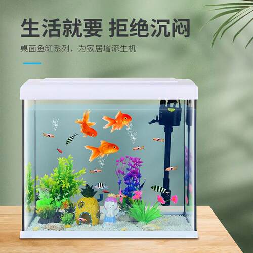 金鱼缸客厅2025新款免打理生态家用客厅小型过滤制氧All玻璃缸