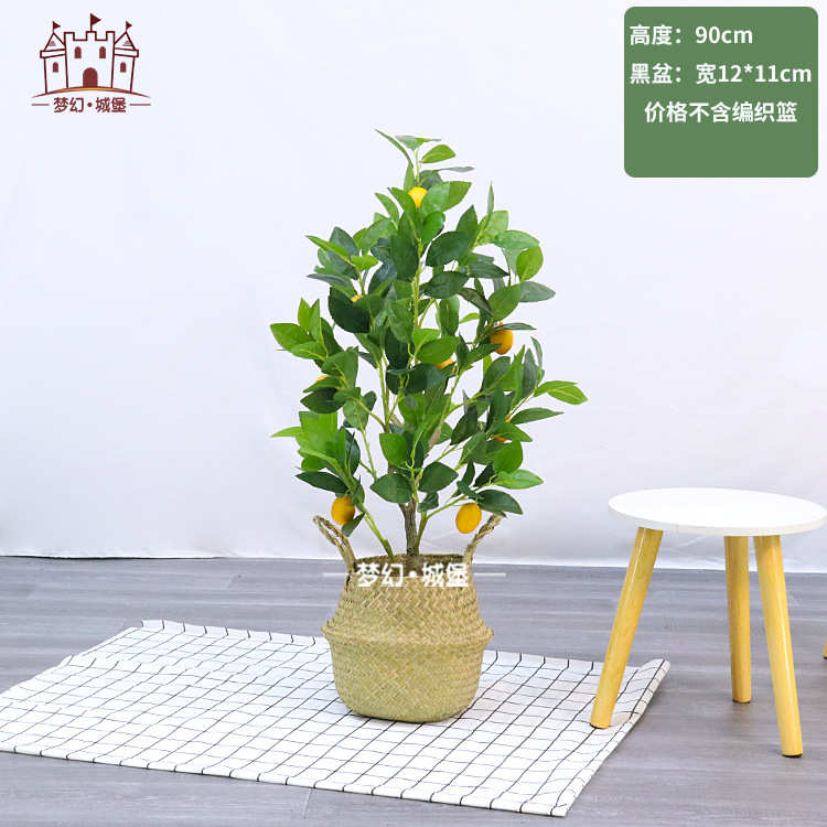 盆栽绿北植树树欧风落地室内植物盆景柠檬仿真装饰水果摆件假