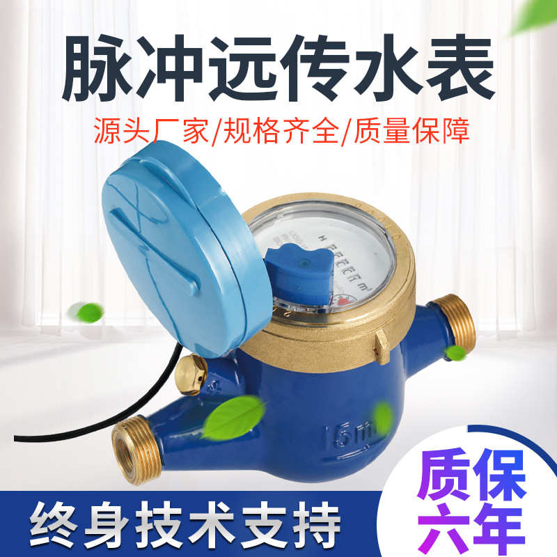 批发酒店用脉冲远传电子智能水表机电分离可视宿舍管理水电表