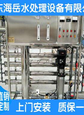 海岳工业去离子水反渗透大型纯水设备 6T/H商用净水器水处理设备