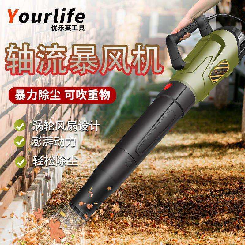 吹风机大功率除尘家用小型鼓风机电脑清灰吹灰220v工业吸尘器