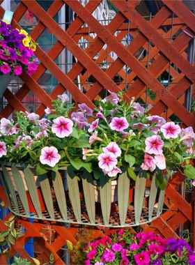 盆室铁艺壁挂式花盆子简约内阳台挂57124墙绿植架架多肉栽置物架