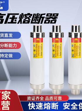 XRNT-10V50A63A100A高压高分段能力限流熔断器保险管SFLAJ-12V