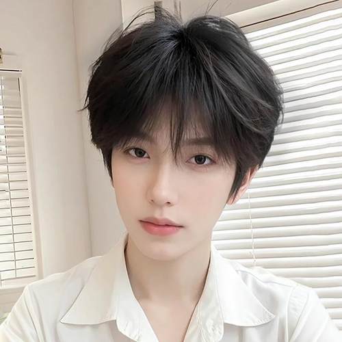 韩系秋冬新款男士日常微分碎盖自然彷真短发蓬松假发男生全头套