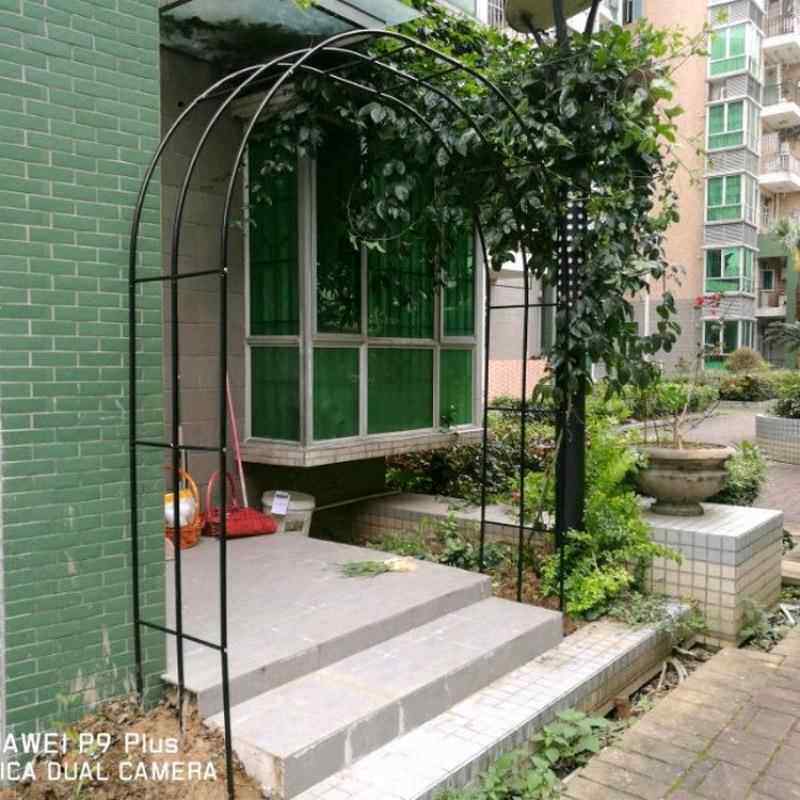 花铁艺拱门花架爬架花园艺月季装饰架藤庭院葡萄架子室见详情内外