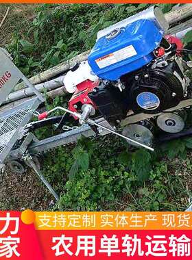 多功能汽油车轨道车山地单轨运输果园CTL物茶园货搬运光车伏板运