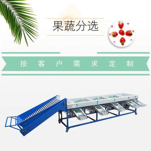 大蒜分级机洋葱分选机果蔬分级机水果分级机滚筒分级