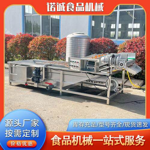 多功能大枣辣椒气泡喷淋清洗机荔枝杨梅清洗机商用洗果流水线