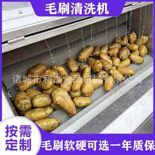 现货皮应萝毛刷清供洗机UXG花生卜果毛辊清洗机去机大枣清洗机厂