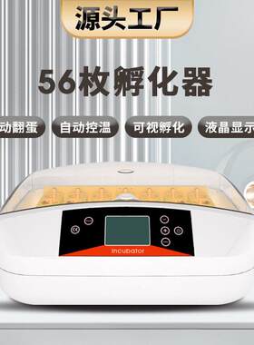 厂家56枚鸡鸭鹌鹑孵化机养殖孵化设备智能家用中小型孵蛋器